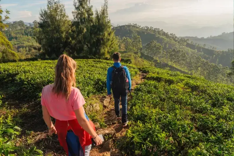 13 Giorni Viaggio per Amare lo Sri Lanka
